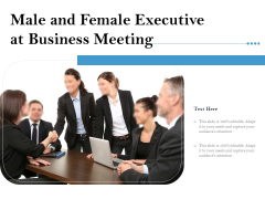 Male And Female Executive At Business Meeting Ppt PowerPoint Presentation Gallery Visuals PDF Male And Female Executive At Business Meeting Ppt PowerPoint Presentation Gallery Visuals PDF