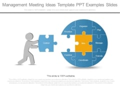 Management Meeting Ideas Template Ppt Examples Slides Management Meeting Ideas Template Ppt Examples Slides