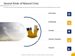 Management Program Presentation Several Kinds Of Natural Crisis Summary PDF Management Program Presentation Several Kinds Of Natural Crisis Summary PDF