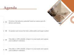 Market Assessment Agenda Ppt Infographics Example File PDF Market Assessment Agenda Ppt Infographics Example File PDF