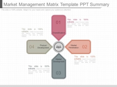 Market Management Matrix Template Ppt Summary Market Management Matrix Template Ppt Summary