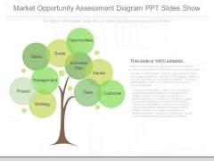 Market Opportunity Assessment Diagram Ppt Slides Show