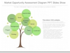 Market Opportunity Assessment Diagram Ppt Slides Show Market Opportunity Assessment Diagram Ppt Slides Show
