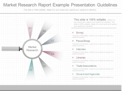 Market Research Report Example Presentation Guidelines Market Research Report Example Presentation Guidelines