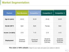 Market Segmentation Ppt PowerPoint Presentation Summary Visuals Market Segmentation Ppt PowerPoint Presentation Summary Visuals