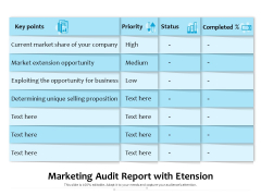 Marketing Audit Report With Etension Ppt PowerPoint Presentation Gallery Design Templates PDF