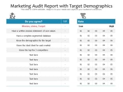 Marketing Audit Report With Target Demographics Ppt PowerPoint Presentation File Layouts PDF