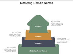 Marketing Domain Names Ppt PowerPoint Presentation Inspiration Templates Cpb