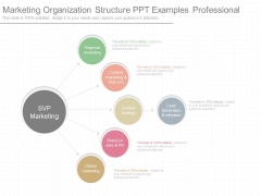 Marketing Organization Structure Ppt Examples Professional