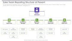 Marketing Playbook To Maximize ROI Sales Team Reporting Structure At Present Ideas PDF Marketing Playbook To Maximize ROI Sales Team Reporting Structure At Present Ideas PDF