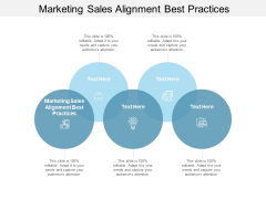 Marketing Sales Alignment Best Practices Ppt PowerPoint Presentation Professional Vector Cpb