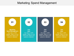 Marketing Spend Management Ppt PowerPoint Presentation Inspiration Example Cpb Pdf