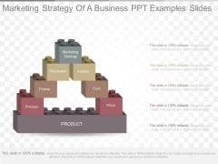 Marketing Strategy Of A Business Ppt Examples Slides Marketing Strategy Of A Business Ppt Examples Slides