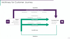 Mckinsey For Customer Journey Inspiration PDF