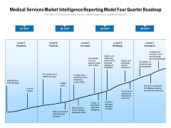 Medical Services Market Intelligence Reporting Model Four Quarter Roadmap Guidelines