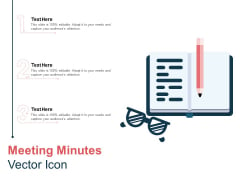 Meeting Minutes Vector Icon Ppt PowerPoint Presentation Show Visual Aids