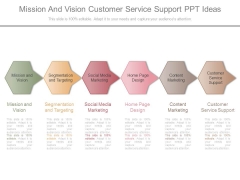 Mission And Vision Customer Service Support Ppt Ideas