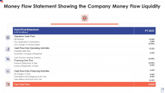 Money Flow Statement Showing The Company Money Flow Liquidity Sample PDF