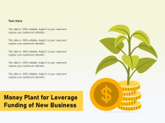Money Plant For Leverage Funding Of New Business Ppt PowerPoint Presentation Model Objects PDF Money Plant For Leverage Funding Of New Business Ppt PowerPoint Presentation Model Objects PDF