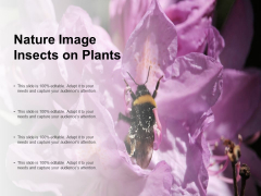 Nature Image Insects On Plants Ppt PowerPoint Presentation Styles Brochure Nature Image Insects On Plants Ppt PowerPoint Presentation Styles Brochure