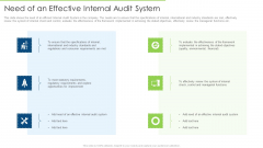 Need Of An Effective Internal Audit System Pictures PDF