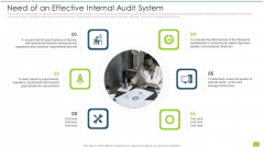 Need Of An Effective Internal Audit System Ppt Layouts Design Templates PDF