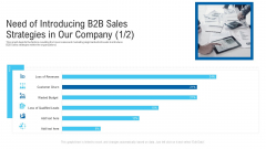 Need Of Introducing B2B Sales Strategies In Our Company Budget Ppt Ideas Show PDF