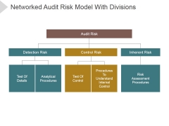 Networked Audit Risk Model With Divisions Ppt PowerPoint Presentation Professional Networked Audit Risk Model With Divisions Ppt PowerPoint Presentation Professional