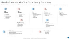 New Business Model Of The Consultancy Company Summary PDF