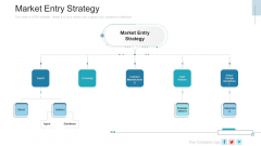 New Service Launch Plan Market Entry Strategy Ppt Infographic Template Background PDF