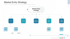 New Service Launch Plan Market Entry Strategy Ppt Infographic Template Background PDF New Service Launch Plan Market Entry Strategy Ppt Infographic Template Background PDF