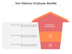 Non Statutory Employee Benefits Ppt PowerPoint Presentation Gallery Files Cpb Pdf Non Statutory Employee Benefits Ppt PowerPoint Presentation Gallery Files Cpb Pdf