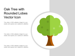 Oak Tree With Rounded Lobes Vector Icon Ppt PowerPoint Presentation Show Rules PDF Oak Tree With Rounded Lobes Vector Icon Ppt PowerPoint Presentation Show Rules PDF