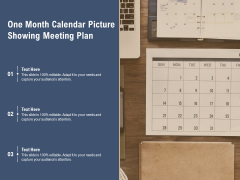 One Month Calendar Picture Showing Meeting Plan Ppt PowerPoint Presentation Slides Examples PDF One Month Calendar Picture Showing Meeting Plan Ppt PowerPoint Presentation Slides Examples PDF