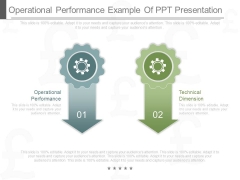 Operational Performance Example Of Ppt Presentation