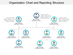Organization Chart And Reporting Structure Ppt PowerPoint Presentation Styles Grid