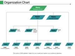 Organization Chart Ppt PowerPoint Presentation Pictures Structure