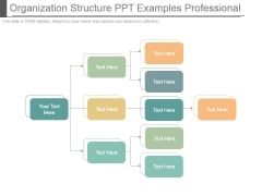 Organization Structure Ppt Examples Professional