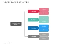 Organization Structure Ppt Powerpoint Presentation Infographics Icon
