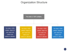 Organization Structure Ppt PowerPoint Presentation Professional Graphics Tutorials