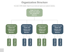 Organization Structure Ppt PowerPoint Presentation Rules