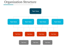 Organization Structure Ppt PowerPoint Presentation Styles