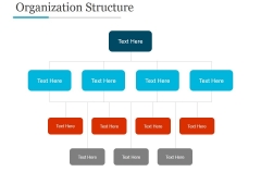 Organization Structure Ppt PowerPoint Presentation Styles Organization Structure Ppt PowerPoint Presentation Styles
