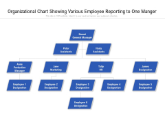 Organizational Chart Showing Various Employee Reporting To One Manger Ppt PowerPoint Presentation File Grid PDF Organizational Chart Showing Various Employee Reporting To One Manger Ppt PowerPoint Presentation File Grid PDF