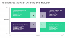 Organizational Diversity And Inclusion Preferences Relationship Matrix Of Diversity Microsoft PDF
