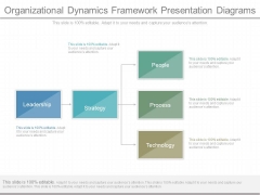 Organizational Dynamics Framework Presentation Diagrams