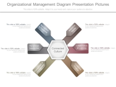 Organizational Management Diagram Presentation Pictures Organizational Management Diagram Presentation Pictures