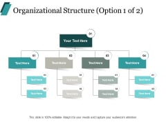 Organizational Structure Business Ppt PowerPoint Presentation Layouts Format