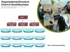 Organizational Structure Chart Of Small Business Ppt PowerPoint Presentation Summary Show PDF Organizational Structure Chart Of Small Business Ppt PowerPoint Presentation Summary Show PDF