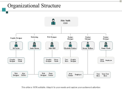 Organizational Structure Ppt PowerPoint Presentation Pictures Maker